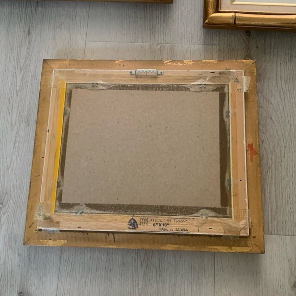 Sherm Pehrson Bird Prints Set of 3 wall art decor‎ bamboo wooden frames gold - Picture 9 of 16